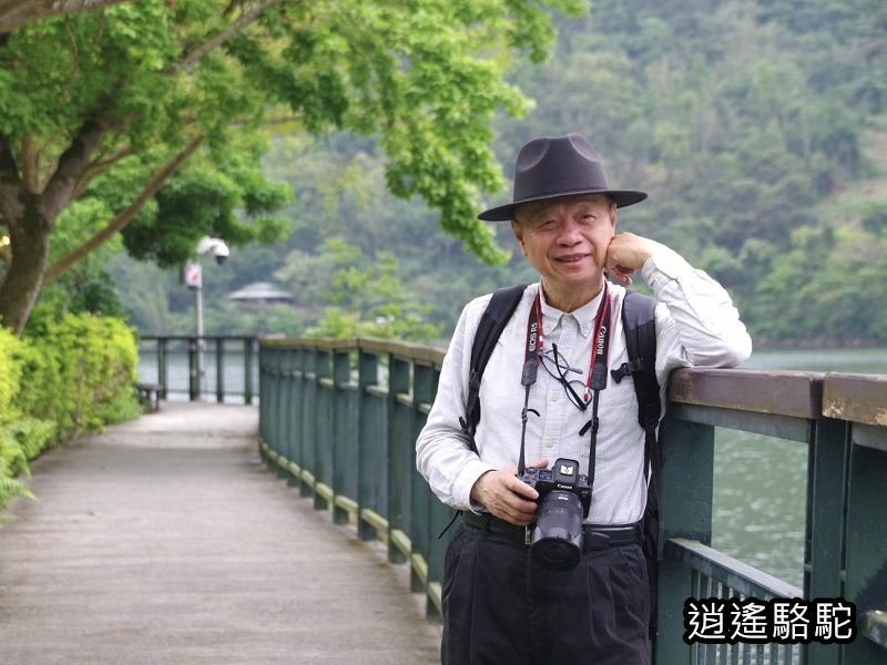 鯉魚潭輕鬆走一回-以花蓮駱駝