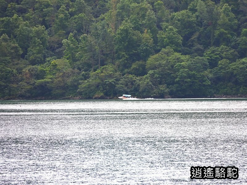 鯉魚潭輕鬆走一回-以花蓮駱駝