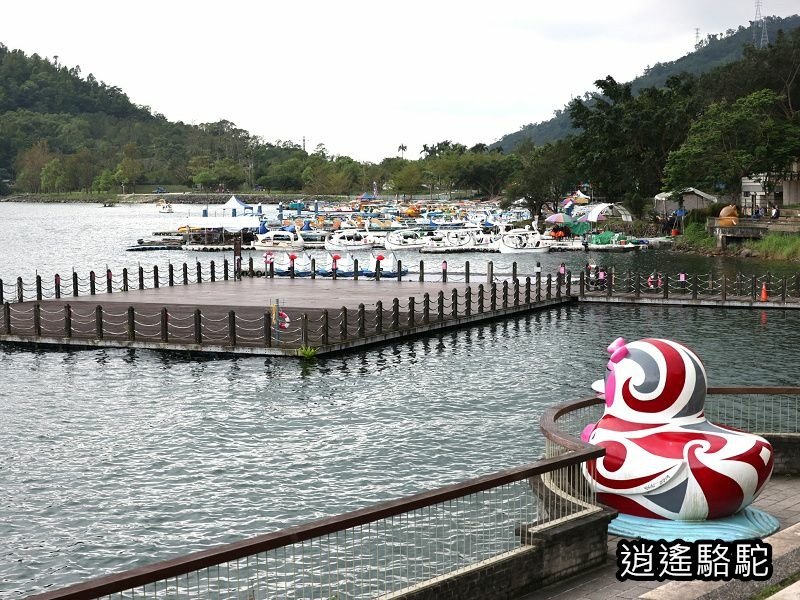 鯉魚潭輕鬆走一回-以花蓮駱駝