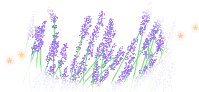 ravender_002a
