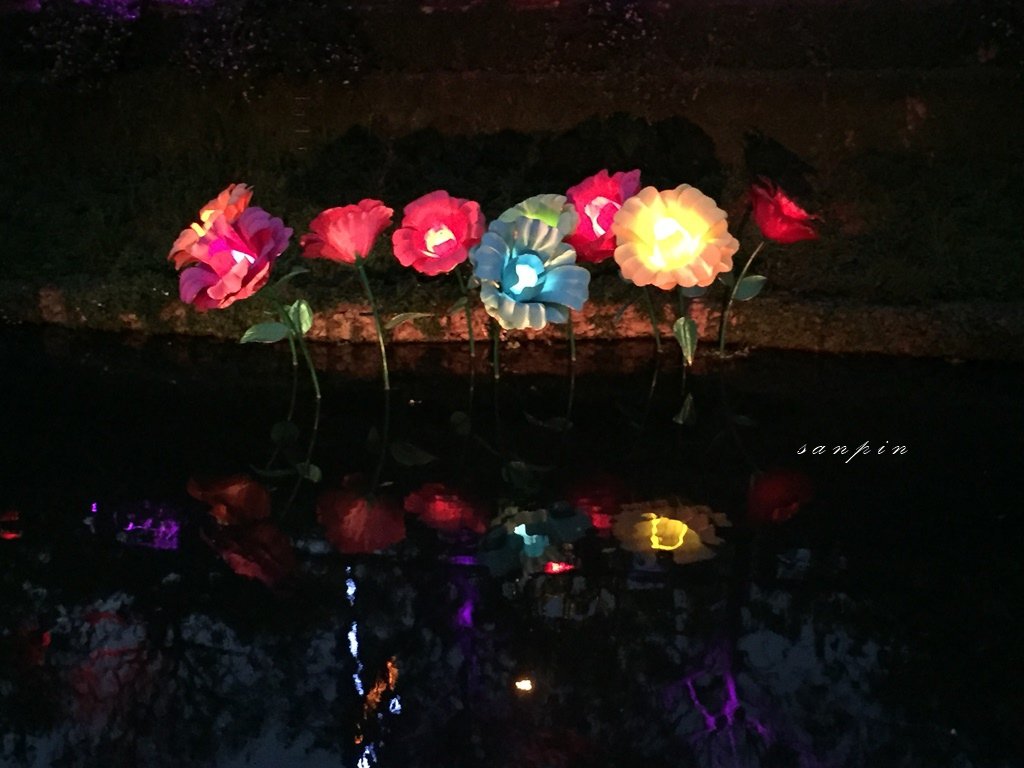 28.JPG