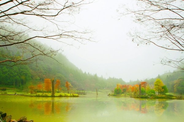 2明池楓紅意境幽邃之美