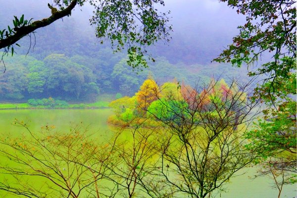 10明池楓紅意境幽邃之美  二