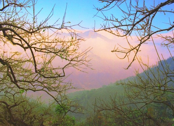 4風櫃斗梅雪堆滿山