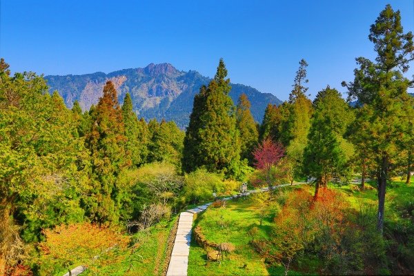 15阿里山美的誘惑『仁者樂山