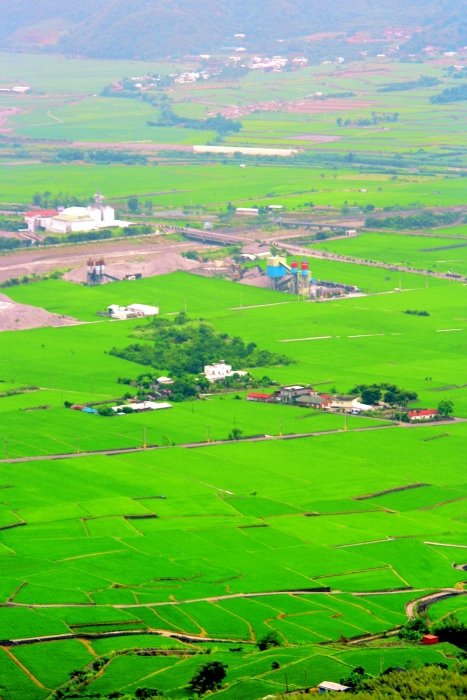 10花東田野拼布之美