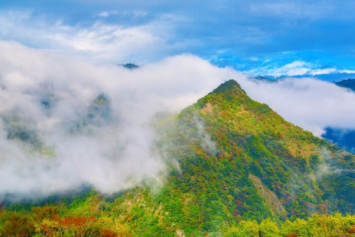 1對台灣山水美的情懷