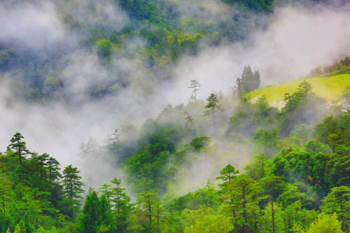 3對台灣山水美的情懷