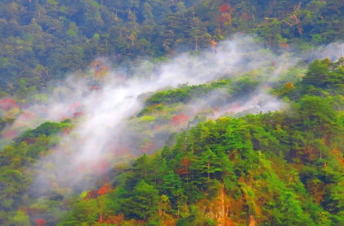 6對台灣山水美的情懷