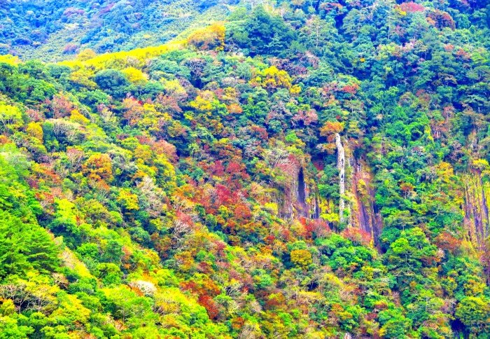 16對台灣山水美的情懷