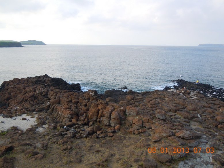 DSCN6730_調整大小.JPG