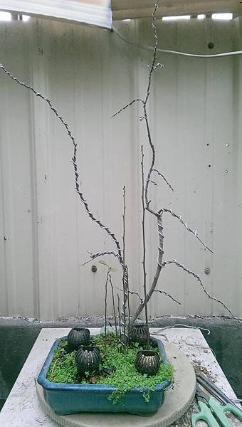 IMAG0748_調整大小