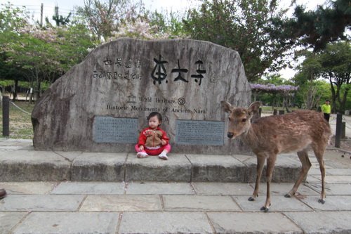 京阪-128.JPG