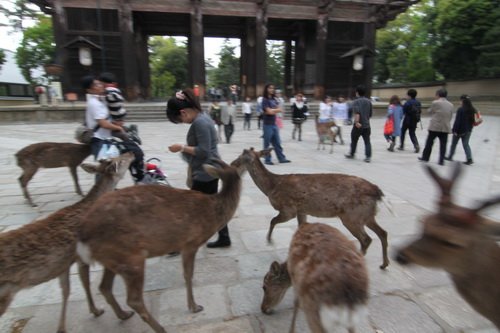 京阪-118.JPG