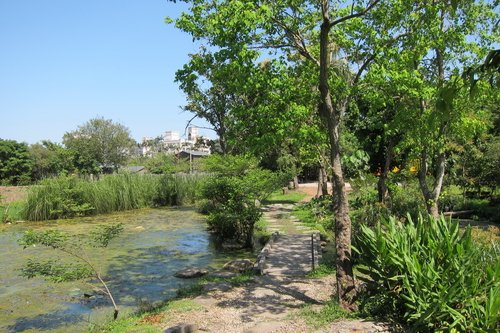 IMG_1087.JPG