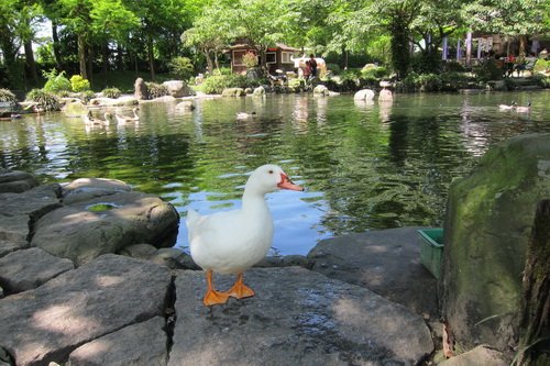 IMG_1152.JPG
