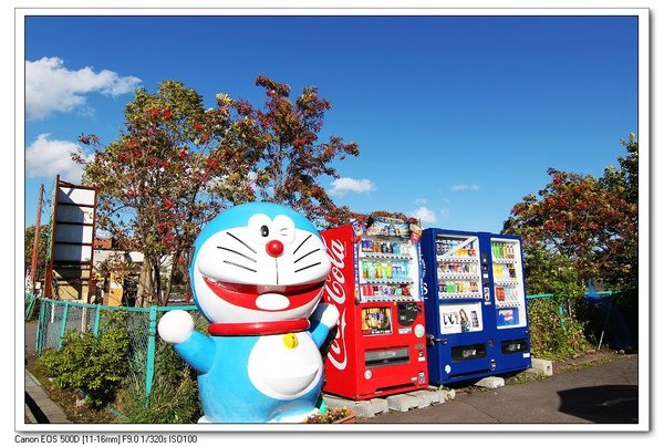 nEO_IMG_北海道 (701).jpg