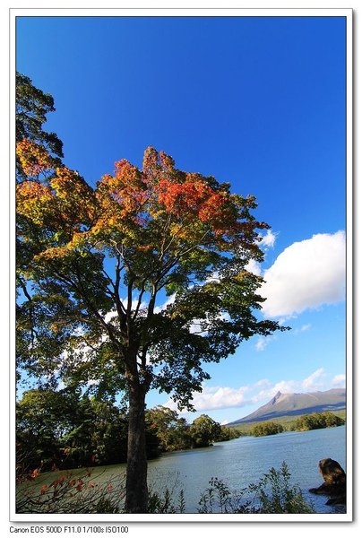 nEO_IMG_北海道 (713).jpg