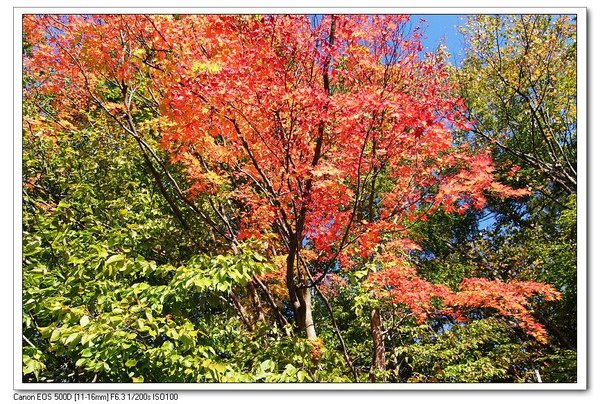 nEO_IMG_北海道 (736).jpg