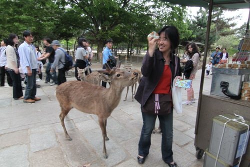 京阪-109.JPG