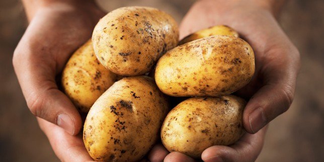 potato-644x322.jpg