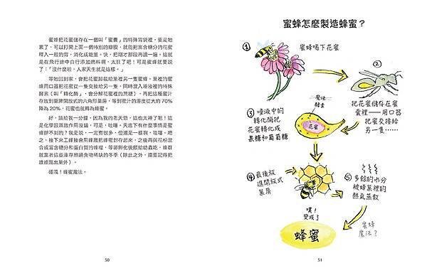 ■蜂潮再起！🐝《一起來花蜂！超萌蜂類觀察筆記》：泰迪熊蜂不是