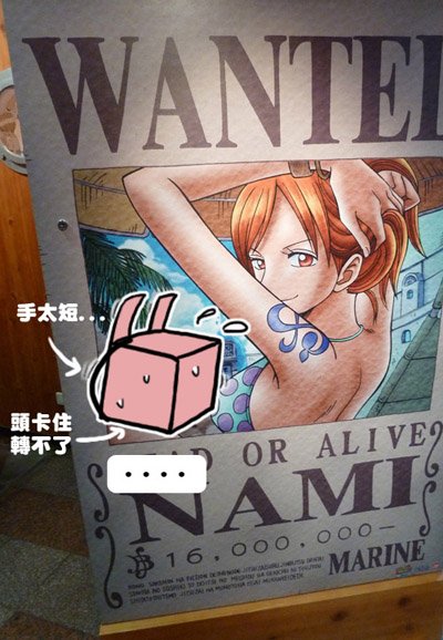 方兔芳兔遊九族。海賊王ONE PIECE之旅(下)27