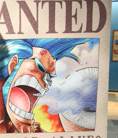 方兔芳兔遊九族。海賊王ONE PIECE之旅(下)34