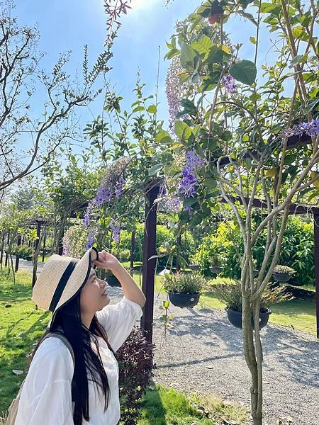 成美文化園【彰化永靖】古色古香親子網美景點