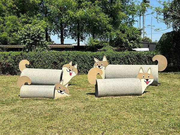 【嘉義中埔景點】粉牛樂園