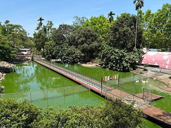 【嘉義中埔景點】粉牛樂園