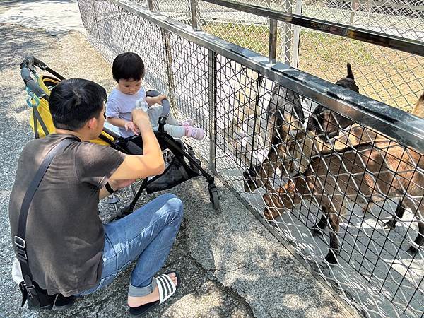 【嘉義中埔景點】粉牛樂園 (原綠盈牧場) ~ 有多種親子設施