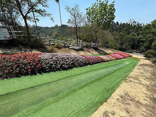 【嘉義中埔景點】粉牛樂園 (原綠盈牧場) ~ 有多種親子設施