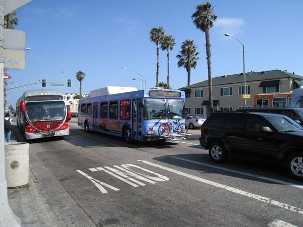 Big Blue Bus