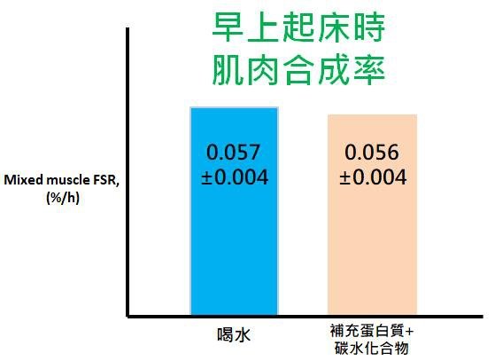 肌肉合成無差異.jpg