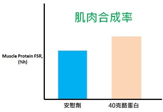 肌肉合成較高.jpg