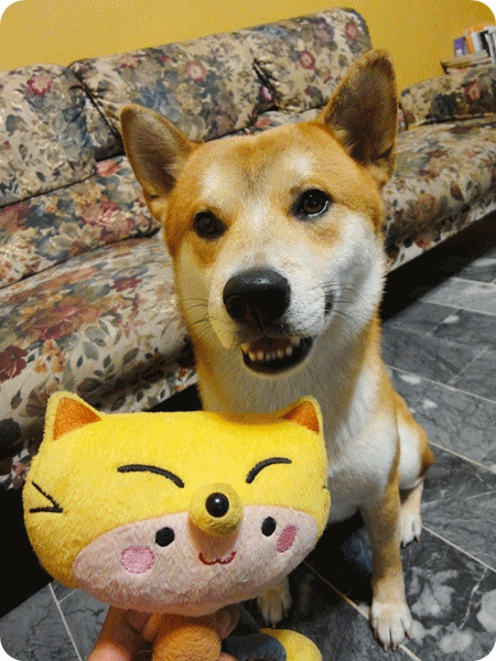 miso5.gif