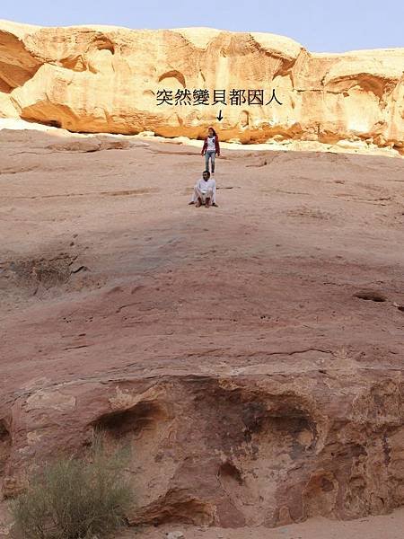 IMG_2560 (600x800)