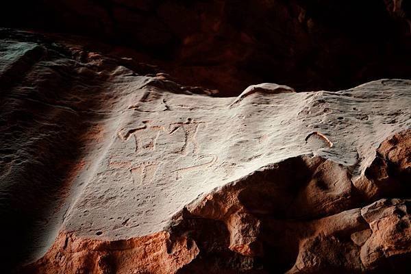 IMG_2516-1 (800x533)