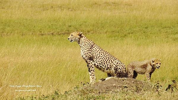 IMG_1430 (1024x575)-1