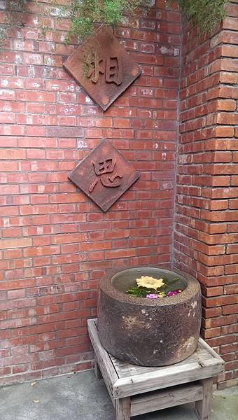 IMAG0981