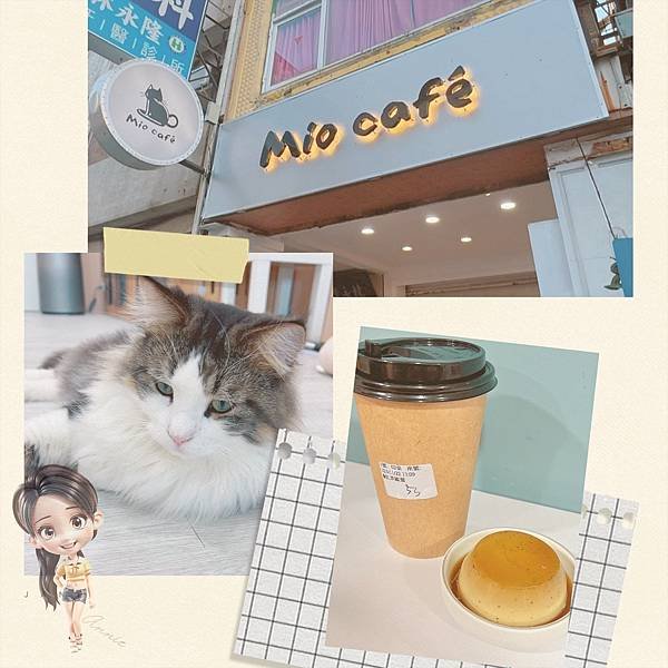 高雄美食-Mio Cafe我的貓咖啡 可以吃美食還能擼貓、逗