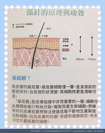 高雄藻針｜藻針是什麼｜高雄前鎮｜做臉不推銷｜男女清粉刺｜紫若