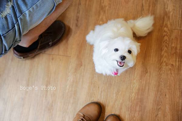 IMG_8973拷貝.jpg