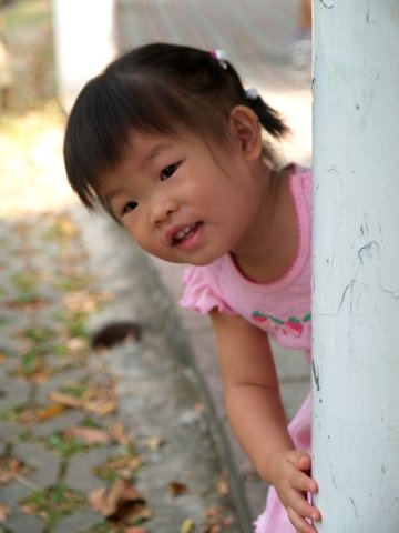 P8299794-2.JPG