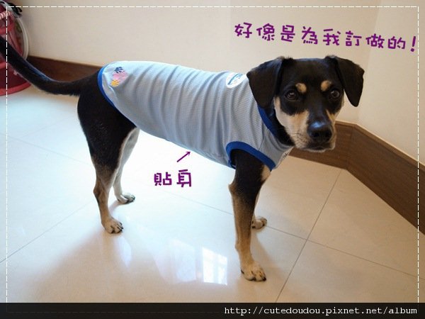 涼涼衣