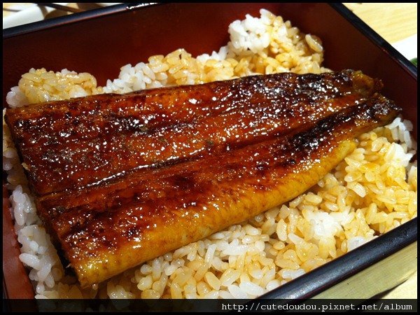 主角慢魚飯