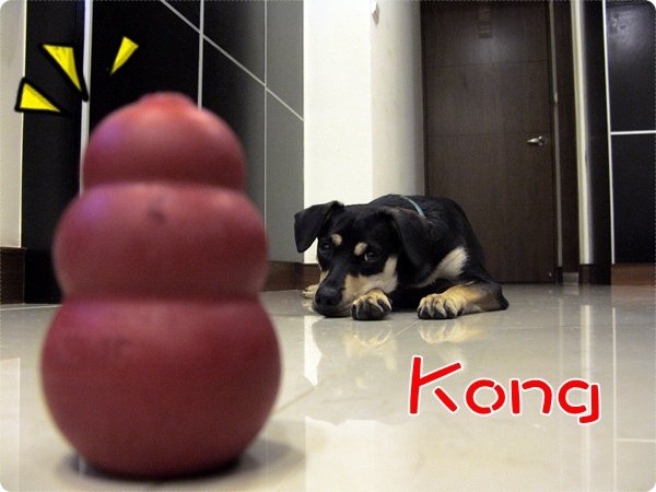 kong