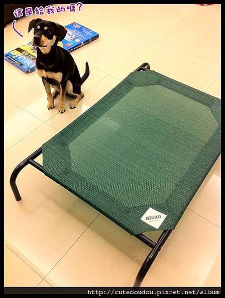 Coolaroo Pet Bed