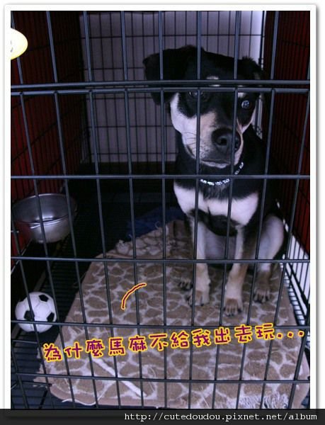 豆豆等等